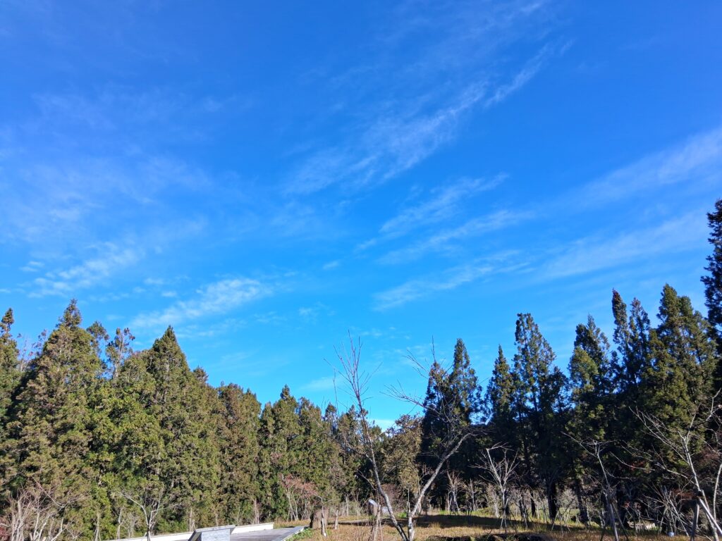 阿里山